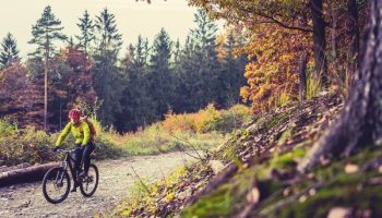 alquiler de bicis para rutas